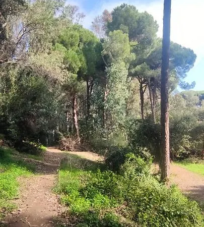 Forest Paradise Апартаменты