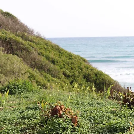 Апартаменты Forest Paradise *