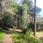 Forest Paradise Apartman