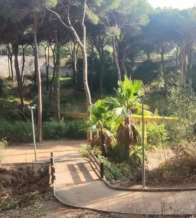 Forest Paradise * Marbella