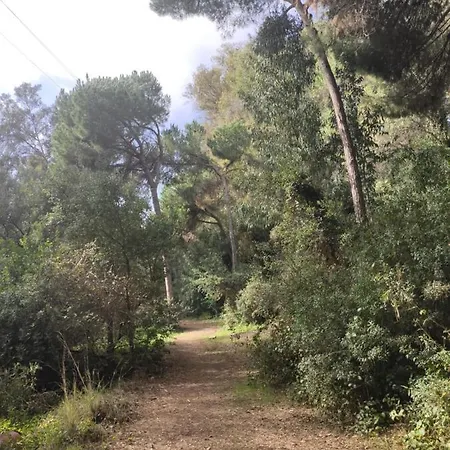Forest Paradise * Marbella