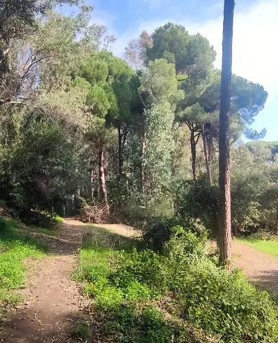 Forest Paradise Apartamento