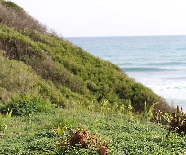 Apartamento Forest Paradise *